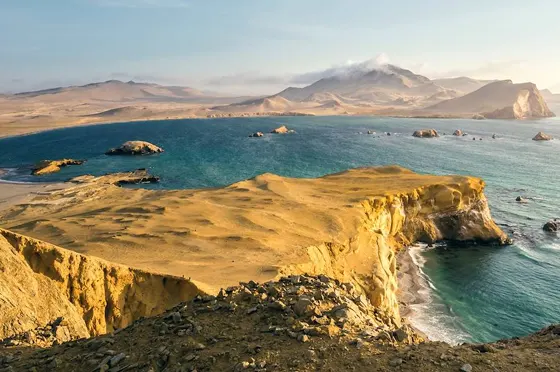 Les dauphins de Paracas des îles Ballestas